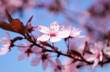 Ostern feiern im Lockdown