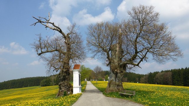 Wissenswertes rund um die Fastenzeit