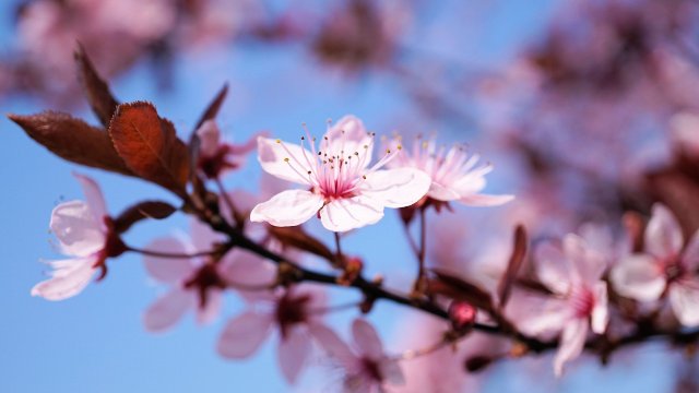 Ostern feiern im Lockdown