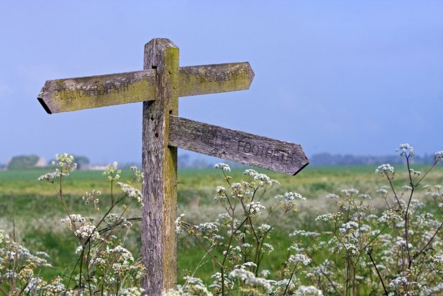 Regeln: Wegweiser durchs Leben